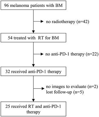 Survival Benefits of Anti-PD-1 Therapy in Combination With Radiotherapy in Chinese Melanoma Patients With Brain Metastasis